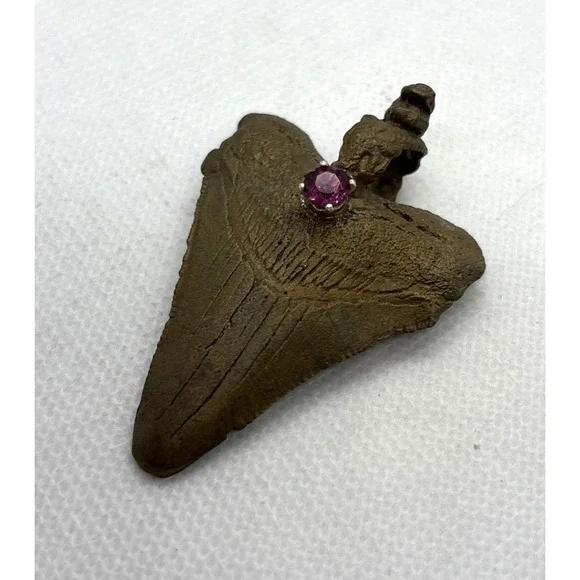 Vintage Bronze Coated Megalodon ? Tooth Pendant Genuine Tourmaline Accent Shark - Picture 2 of 9